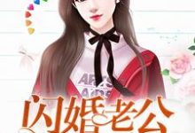 闪婚老公，宠上天这本小说怎么样？免费在线阅读试试-艾米文学