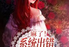 小说《麻了!系统出错,我穿到了盲盒里》章节免费阅读-艾米文学