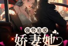 求强势追爱:娇妻她又甜又野小说的全文免费阅读链接-艾米文学