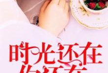 免费在线阅读时光还在,你还在小说的正规网站有哪些?-艾米文学