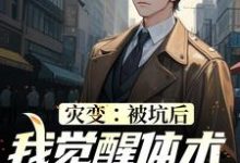叶凯是哪本书的主角？寻找灾变：被坑后，我觉醒体术专家系统免费阅读-艾米文学