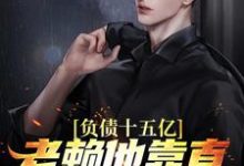 负债十五亿，老赖他靠直播唱歌赚钱小说，负债十五亿，老赖他靠直播唱歌赚钱 苏焕-艾米文学