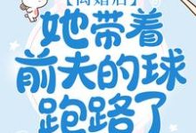离婚后，她带着前夫的球跑路了小说有没有完整的免费版本在线阅读？-艾米文学