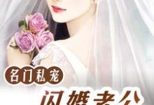 小说《名门私宠:闪婚老公好霸道》在线章节阅读-艾米文学