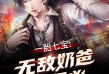 一胎七宝:无敌奶爸超级凶小说,一胎七宝:无敌奶爸超级凶免费阅读-艾米文学