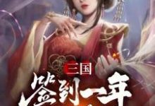 卫宁王异是哪本书的主角?三国:签到一年续娶蔡文姬免费读-艾米文学