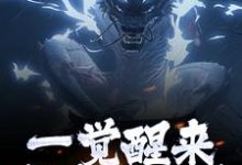 《一觉醒来，我修为全失》小说大结局免费试读 叶尘渊江月寒小说-艾米文学