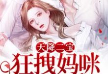 天降二宝:狂拽妈咪A爆了!这本小说怎么样?免费在线阅读试试-艾米文学