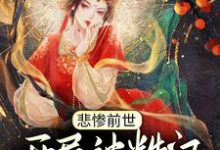 求推荐可以免费阅读悲惨前世:开局被糙汉娶回家小说的网站-艾米文学