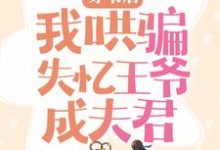免费阅读沈小棠君冥夜为主角的小说，穿书后，我哄骗失忆王爷成夫君在线看-艾米文学