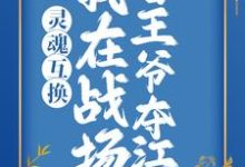 免费看灵魂互换：我在战场替王爷夺江山小说的网站有哪些？-艾米文学