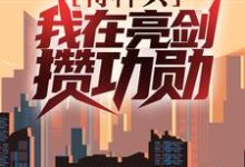 叶正阳为主角的小说好看吗？求特种兵：我在亮剑攒功勋免费试读-艾米文学
