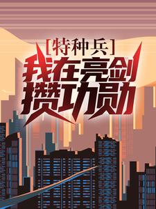 叶正阳为主角的小说好看吗？求特种兵：我在亮剑攒功勋免费试读