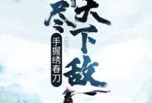 手握绣春刀,斩尽天下敌苏元在线章节免费阅读-艾米文学