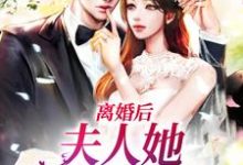 离婚后，夫人她带崽出国了秦向晚顾柏瀚，离婚后，夫人她带崽出国了在线无弹窗阅读-艾米文学