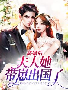 离婚后，夫人她带崽出国了秦向晚顾柏瀚，离婚后，夫人她带崽出国了在线无弹窗阅读