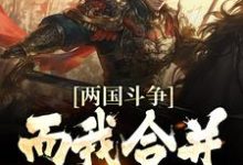 两国斗争,而我合并天下小说,两国斗争,而我合并天下章节在线阅读-艾米文学