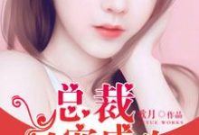 总裁一宠成欢小说无弹窗阅读的网站推荐-艾米文学