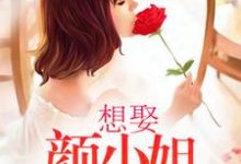 想娶颜小姐为妻小说，想娶颜小姐为妻颜汐霍瑨深应树-艾米文学