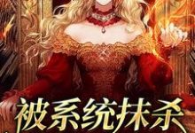 完整版的被系统抹杀后我重生了小说在哪里可以免费读到?-艾米文学