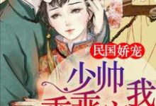 哪里能找到民国娇宠：少帅，乖乖宠我！小说的全部章节？-艾米文学