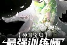 求沈云小说免费资源-艾米文学