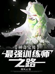 求沈云小说免费资源