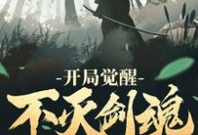 男女主人公叶飞叶姗姗叶天雄小说开局觉醒不灭剑魂章节免费阅读-艾米文学