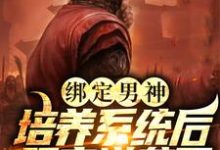 求绑定男神培养系统后,肥宅逆袭了小说的全文免费阅读链接-艾米文学