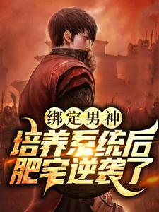 求绑定男神培养系统后，肥宅逆袭了小说的全文免费阅读链接