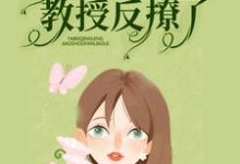 暗恋无果后,她被清冷教授反撩了免费阅读,暗恋无果后,她被清冷教授反撩了章节目录-艾米文学