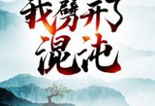 寻找大劫后，我劈开了混沌小说的最新更新章节-艾米文学