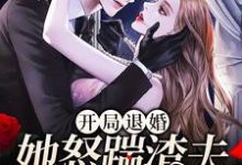 开局退婚,她怒踹渣夫搞事业这本小说在哪里可以看?哪里有免费试读章节?-艾米文学