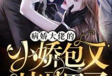 小说《病娇大佬的小娇包又掉马甲了》章节免费阅读-艾米文学