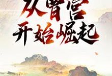 完结版《三国:从曹营开始崛起》免费阅读-艾米文学