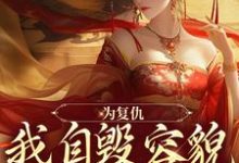 求为复仇,我自毁容貌进了公主府小说免费资源-艾米文学