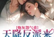 完结版《炮灰怨气重！天降反派来惩戒男主了》章节目录在线阅读-艾米文学