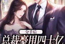 完结版《分手后,总裁豪甩四十亿求我回来》章节阅读-艾米文学