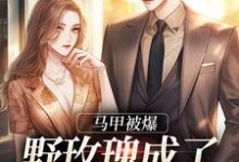 瞳榆祁钺的故事在哪本书里？免费阅读马甲被爆，野玫瑰成了大佬掌中娇-艾米文学