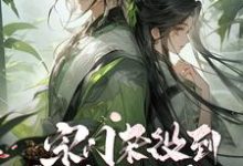 已完结小说《双修无敌:从宗门杂役到盖世帝尊》章节在线阅读-艾米文学