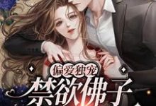 偏爱独宠,禁欲佛子搂腰缠吻小说的无弹窗阅读体验,寻找免费阅读网站-艾米文学