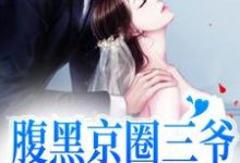 顾沉舟池岁小说叫什么(腹黑京圈三爷,只对她心动免费阅读)-艾米文学