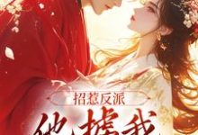 招惹反派，他掳我花轿洞房最新章节，招惹反派，他掳我花轿洞房章节在线阅读-艾米文学