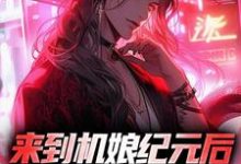 苏年星辰小说在线章节免费阅读（来到机娘纪元后，我杀疯了无弹窗无删减）-艾米文学