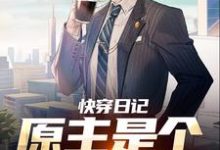 江辰的小说在哪里看?免费在线阅读快穿日记:原主是个万人欺?-艾米文学