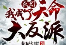 玄幻:我成了天命大反派最新章节,玄幻:我成了天命大反派免费阅读-艾米文学