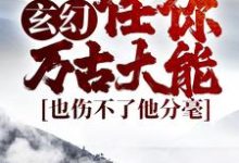 寻找玄幻:任你万古大能,也伤不了他分毫小说的最新更新章节-艾米文学