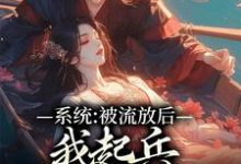小说《系统:被流放后,我起兵夺走皇位》在线章节阅读-艾米文学