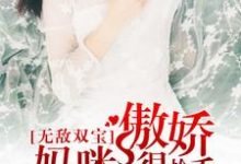 小说《无敌双宝:傲娇妈咪很抢手》章节阅读-艾米文学