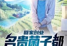 叶苏的故事在哪本书里?免费阅读回家创业,名贵菌子都到我碗里来-艾米文学